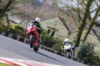 Oulton-Park-21st-March-2020;PJ-Motorsport-Photography-2020;anglesey;brands-hatch;cadwell-park;croft;donington-park;enduro-digital-images;event-digital-images;eventdigitalimages;mallory;no-limits;oulton-park;peter-wileman-photography;racing-digital-images;silverstone;snetterton;trackday-digital-images;trackday-photos;vmcc-banbury-run;welsh-2-day-enduro